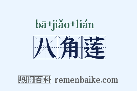 八角莲是什么意思的图片